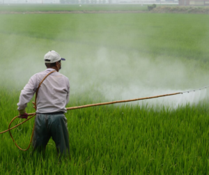 Man using pesticides in large field